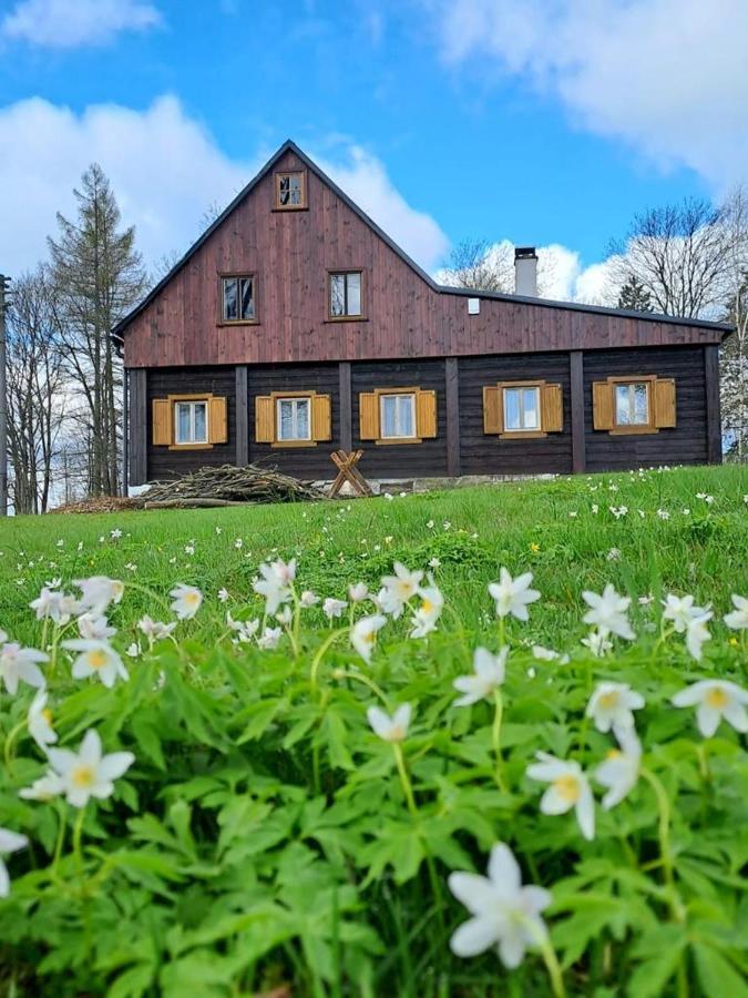 Chalupa Lichtenberg/ Svetlik Horni Podluzi Exterior foto